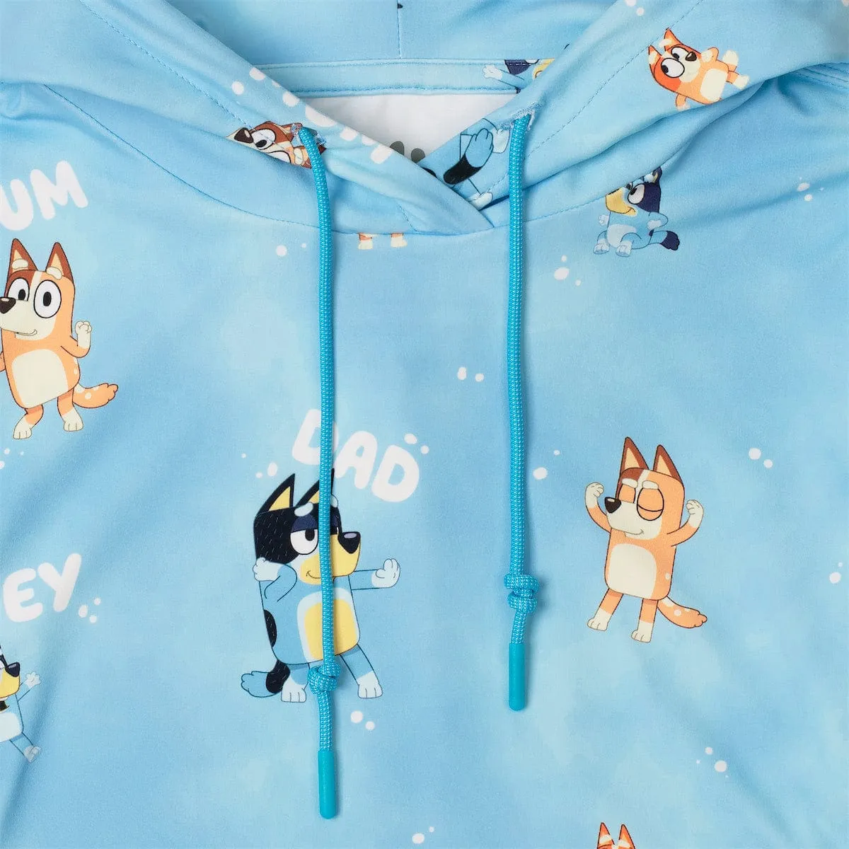 Bluey "Meet the Heelers" – Youth Performance Hoodie