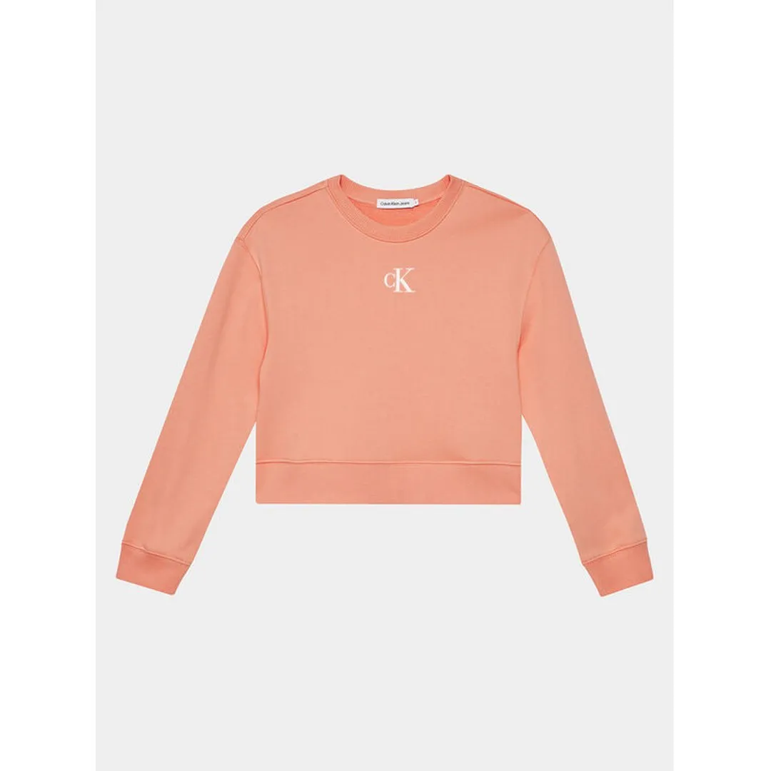 Ck Logo Cn Sweatshir/ Tzz/ 16