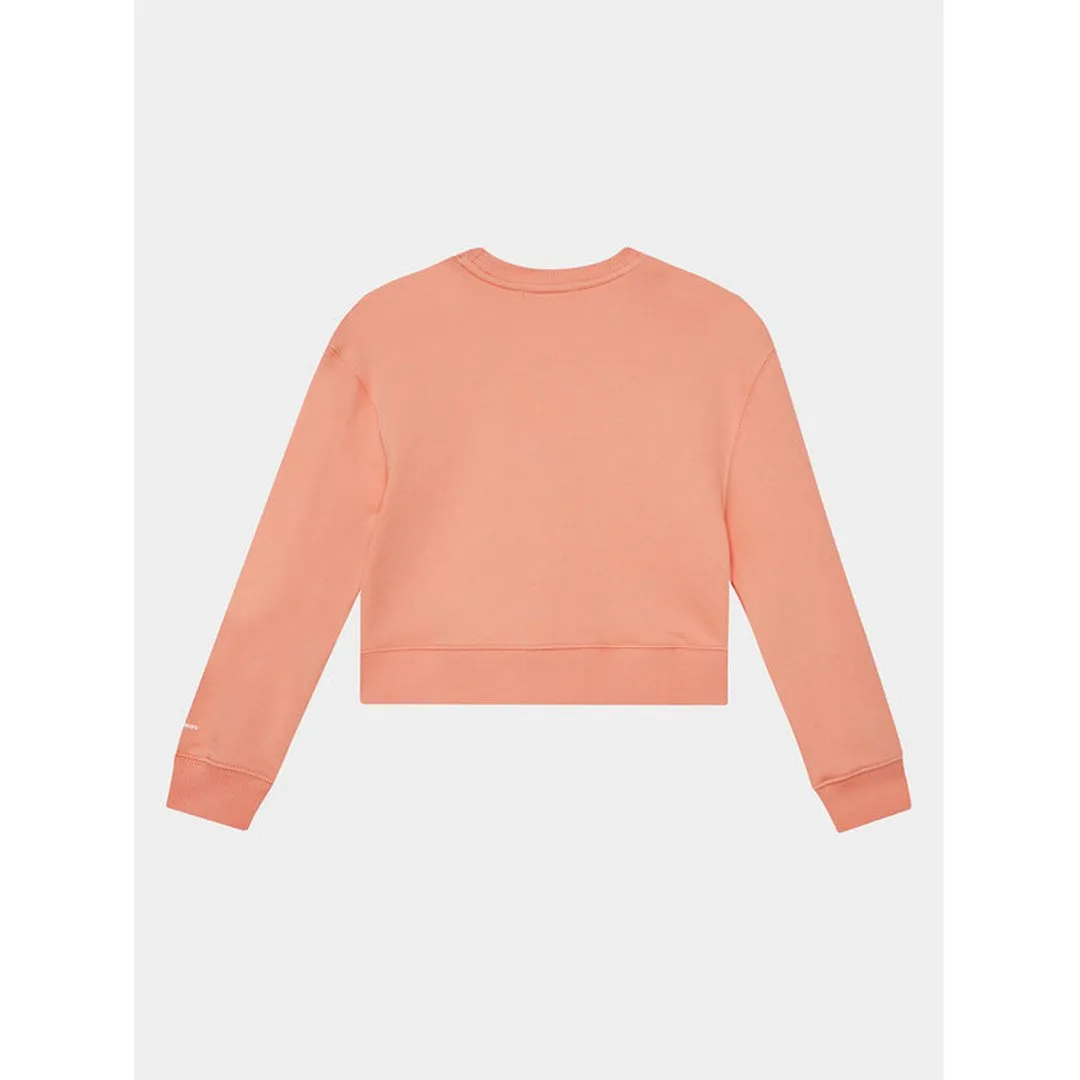 Ck Logo Cn Sweatshir/ Tzz/ 16