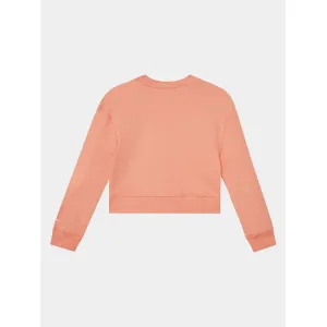 Ck Logo Cn Sweatshir/ Tzz/ 16