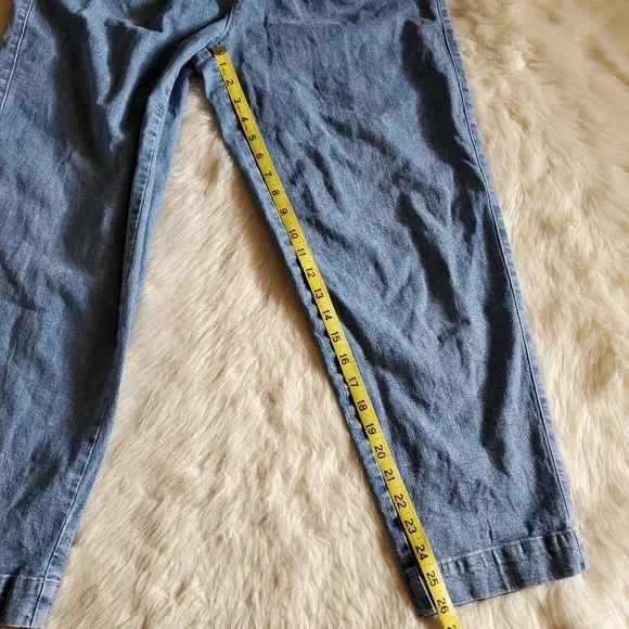 Madewell Pleated Taper Wide Leg Jeans Size 4