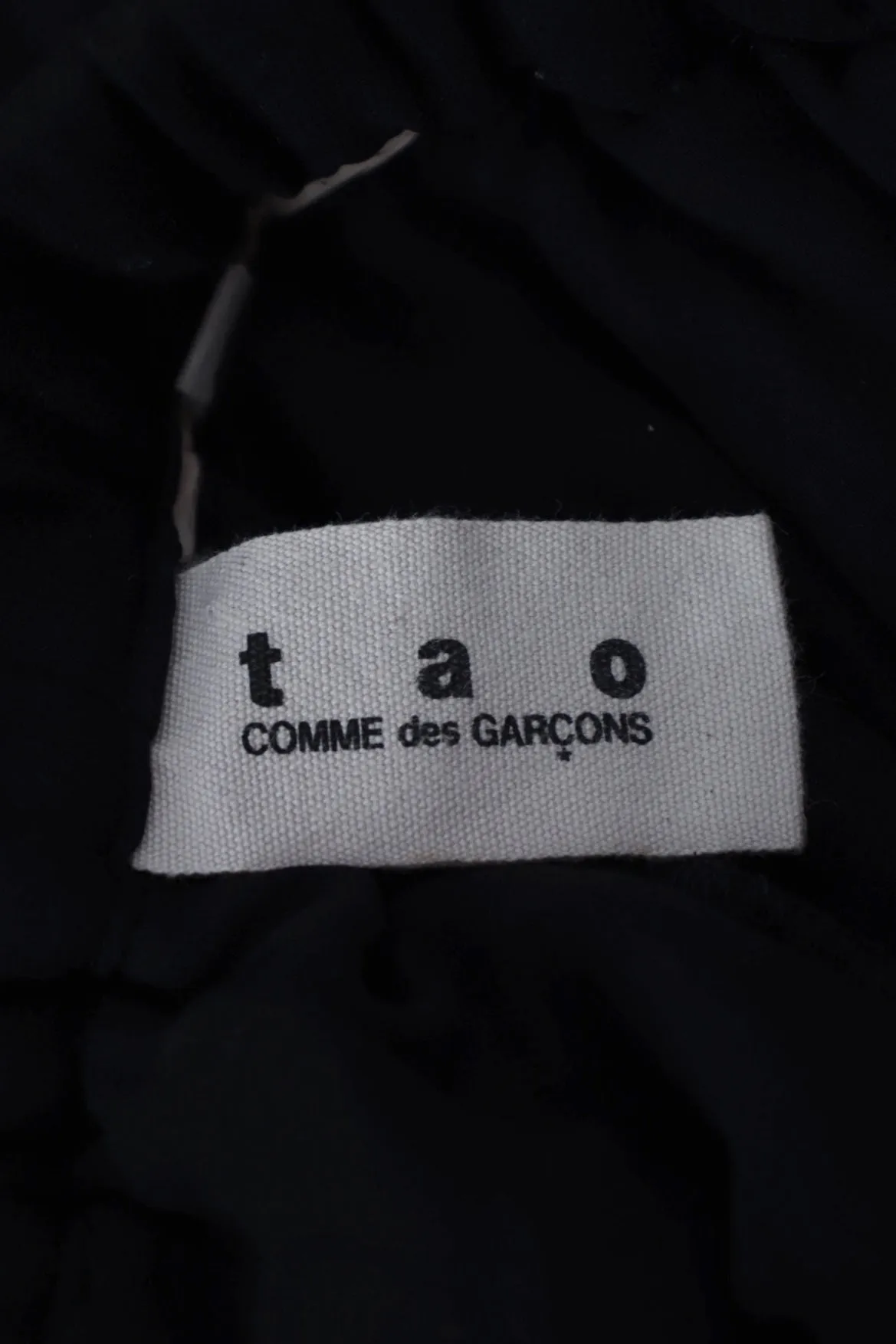 Tao Comme Des Garçons Puffy Crinkle Pants